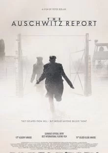 Протокол Освенцима (2021) Драмы, Исторические